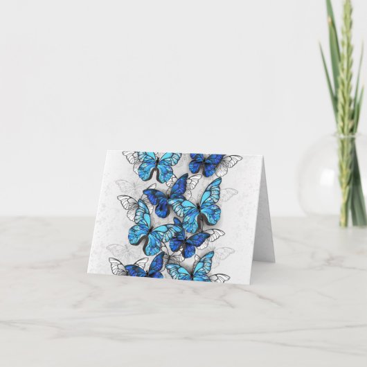 青白の蝶の構成 案内状 (正面)