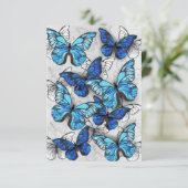 青白の蝶の構成 案内状 (スタンド正面)