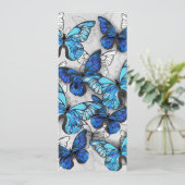 青白の蝶の構成 案内状 (スタンド正面)