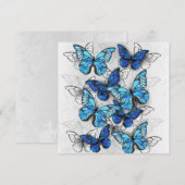 青白の蝶の構成 案内状 (正面/裏面)