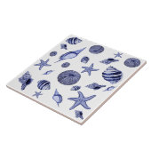 青白の貝 タイル (側面)