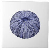 青白ウニ貝瓦 タイル (正面)