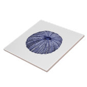 青白ウニ貝瓦 タイル (側面)