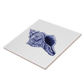 青白コンチシェルセラミックタイル タイル (側面)