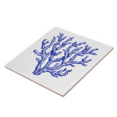 青白サンゴ タイル (側面)