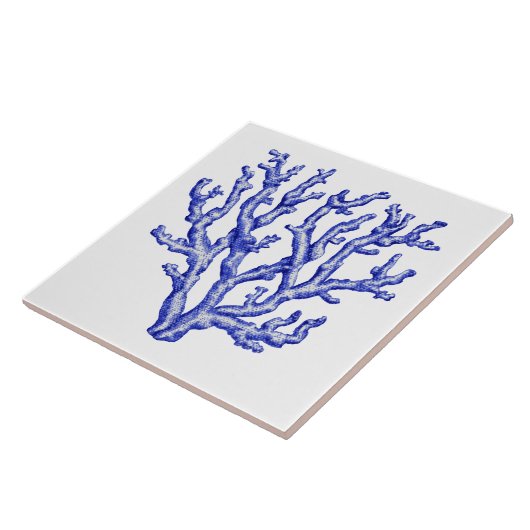 青白サンゴ タイル (側面)