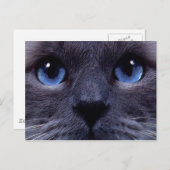 青目 ポストカード (正面/裏面)