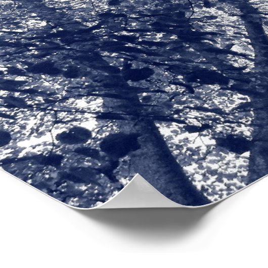 青秋 ポスター (角)