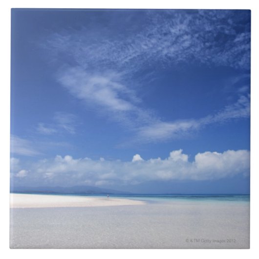 青空および海2 タイル (正面)