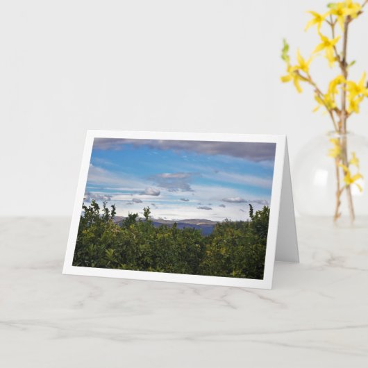 青空と山々の風景 カード (黄色い花)