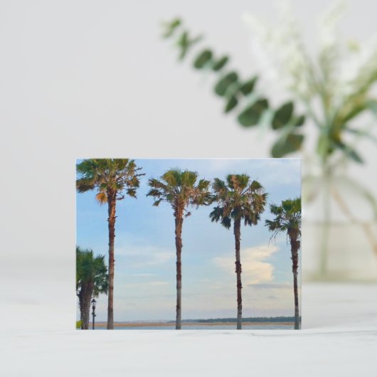 青空と木 ポストカード (スタンド正面)