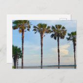 青空と木 ポストカード (正面/裏面)