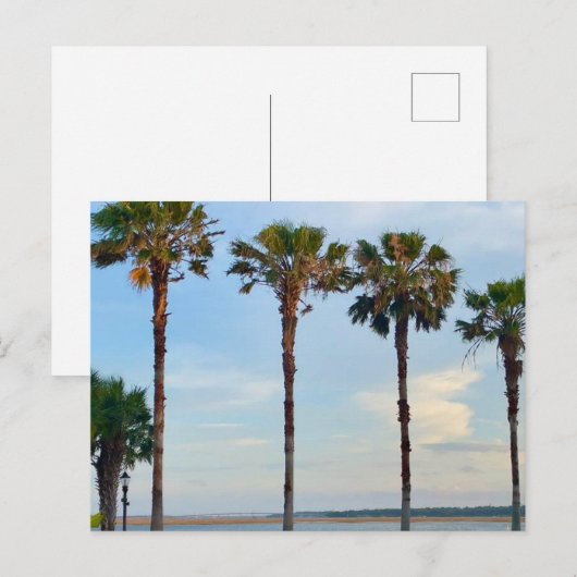 青空と木 ポストカード (正面/裏面)