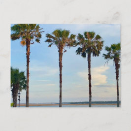 青空と木 ポストカード