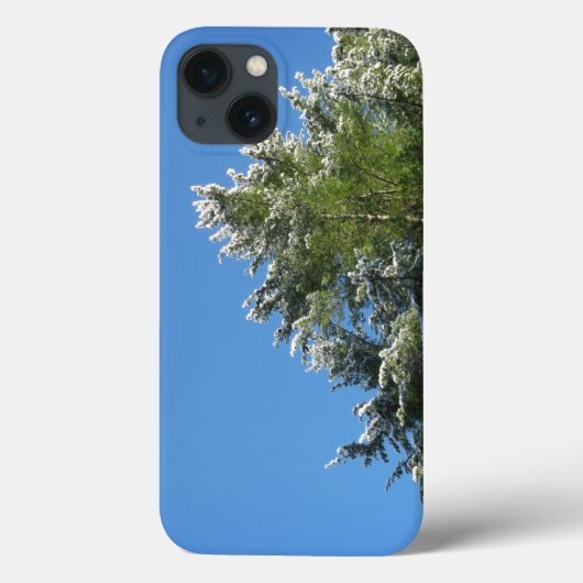 青空と雪の松の木 Case-Mate iPhoneケース (裏面)