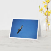 青空にいる七面鳥のハゲワシ カード (黄色い花)