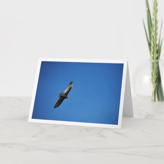 青空にいる七面鳥のハゲワシ カード (正面)