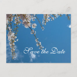 青空にさくらんぼの枝の日付を保存 案内ポストカード