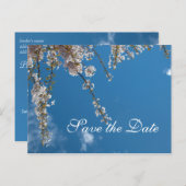 青空にさくらんぼの枝の日付を保存 案内ポストカード (正面/裏面)