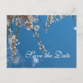 青空にさくらんぼの枝の日付を保存 案内ポストカード