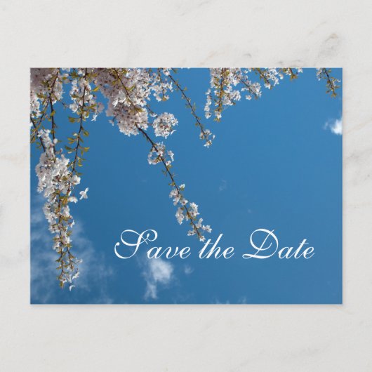 青空にさくらんぼの枝の日付を保存 案内ポストカード (正面)