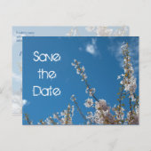 青空にさくらんぼの花の日付を保存。 案内ポストカード (正面/裏面)