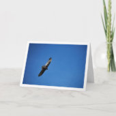 青空にタカサギ カード (正面)