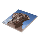 青空にラブラドールのチョコレートブラウン タイル (側面)