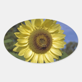 青空に咲く完璧な夏のひまわり。 楕円形シール