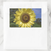青空に咲く完璧な夏のひまわり。 長方形シール (バッグ)