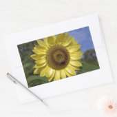青空に咲く完璧な夏のひまわり。 長方形シール (封筒)