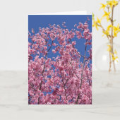 青空に咲く桜の花 カード (黄色い花)