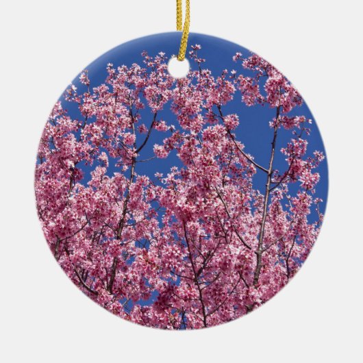 青空に咲く桜の花 セラミックオーナメント (正面)