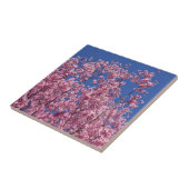 青空に咲く桜の花 タイル (側面)