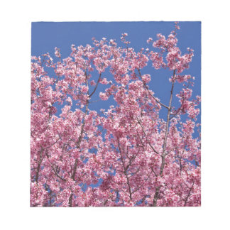 青空に咲く桜の花 ノートパッド