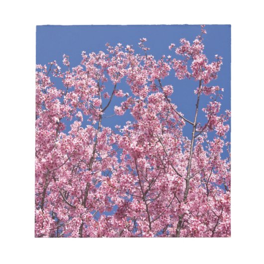 青空に咲く桜の花 ノートパッド (正面)