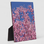 青空に咲く桜の花 フォトプラーク (側面)