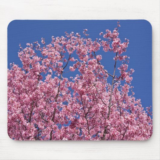青空に咲く桜の花 マウスパッド (正面)