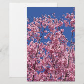 青空に咲く桜の花 便箋 (正面/裏面)