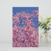 青空に咲く桜の花 便箋 (スタンド正面)