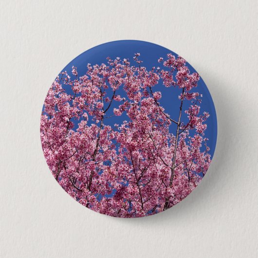 青空に咲く桜の花 缶バッジ (正面)
