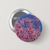 青空に咲く桜の花 缶バッジ (正面&裏面)