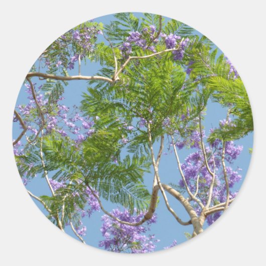 青空に咲く紫の花のジャカランダの木 ラウンドシール (正面)