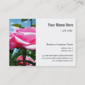 青空に咲く華やかなピンクのバラの花 名刺 (裏面)