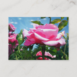 青空に咲く華やかなピンクのバラの花 名刺