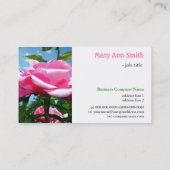 青空に咲く華やかなピンクのバラの花 名刺 (裏面)