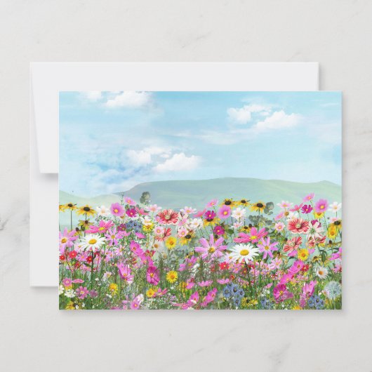 青空に咲く野草 招待状 (裏面)