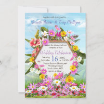 青空に咲く野草