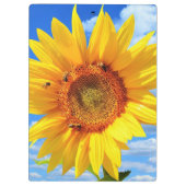 青空に咲く黄色のひまわりとミツバチ – Summer Day クリップボード (裏面)