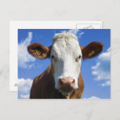 青空に対するバイエルン牛 ポストカード (正面/裏面)